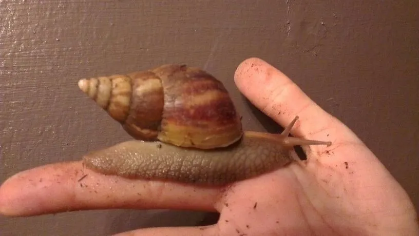 Beobachten & zur Ruhe kommen