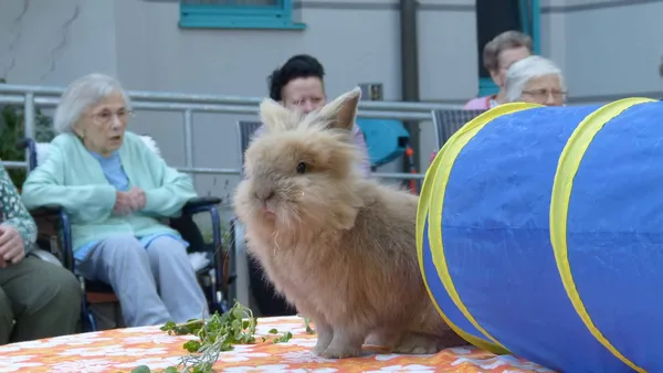 Gemeinsam aktiv sein