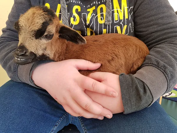 Nähe & Vertrauen erleben